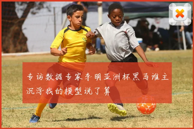 专访数据专家李明亚洲杯黑马谁主沉浮我的模型说了算